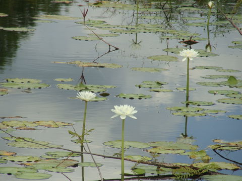 Djukbinj National Park - Foster Accommodation 1