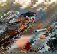 Echuca Paintball Games - Foster Accommodation