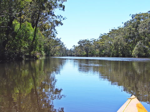 Esk River - Foster Accommodation 0