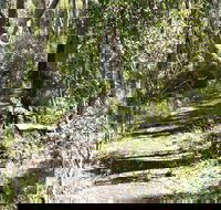 Euglah Rock Walking Track - Foster Accommodation