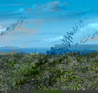 Forest Walking Track Crowdy Bay National Park - Foster Accommodation