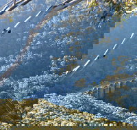 Forest Walk to Sublime Point Track - Foster Accommodation