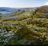 Gold Coast Hinterland Great Walk - Foster Accommodation