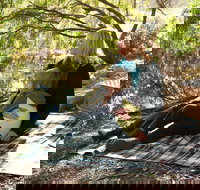 Haig Street Quarry Bushland Reserve Trails - Foster Accommodation