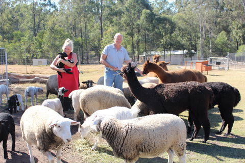 Haigslea EWE Nique Hobby Farm - Foster Accommodation 0