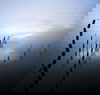 Jounama Creek Walking Track - Foster Accommodation