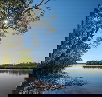 Karuah River National Park and Nature Reserve - Foster Accommodation