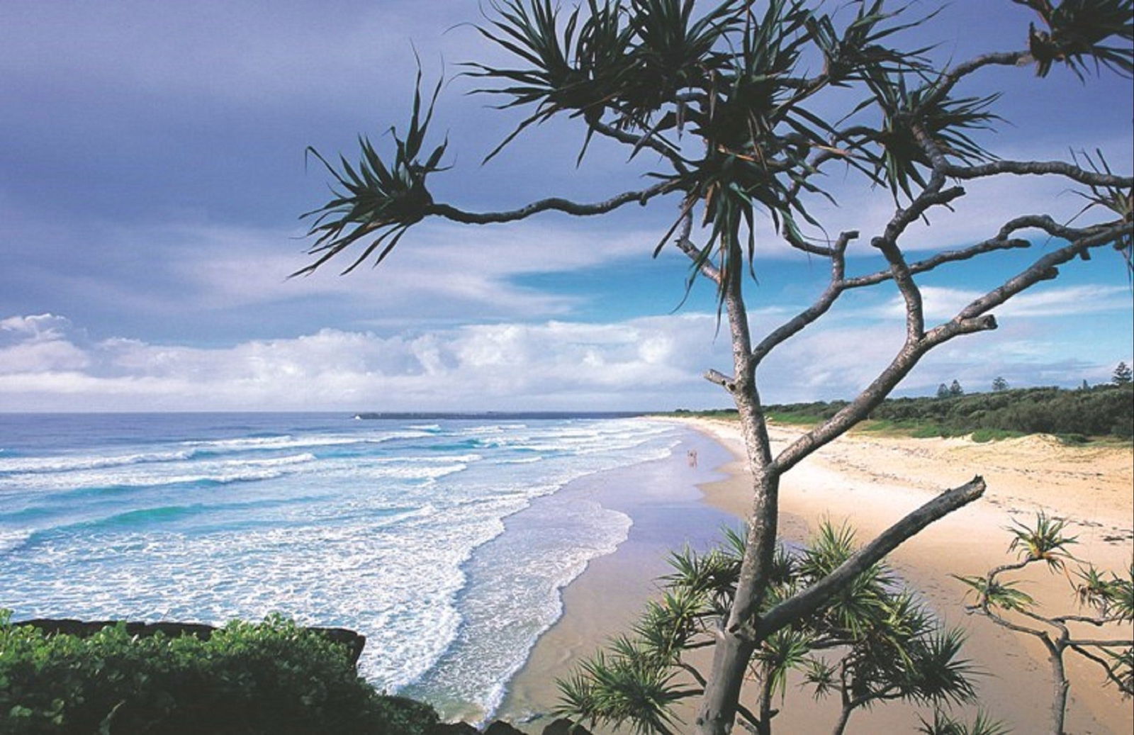 Pimlico NSW Foster Accommodation