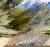 Naracoorte North Nature Park - Foster Accommodation