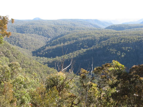 Nattai Gorge Lookout - Foster Accommodation 1