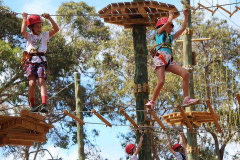 Next Level Monkey Business - Foster Accommodation 0