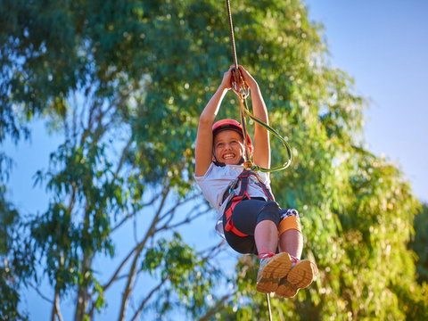 Next Level Monkey Business - Foster Accommodation 2