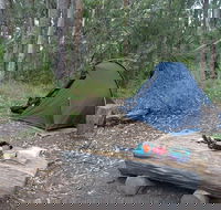 Northbrook Mountain Bush Camp - Foster Accommodation