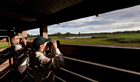 Reed Beds Bird Hide Boardwalk - Foster Accommodation 0