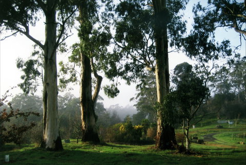Tasmanian Arboretum Inc. - The - Foster Accommodation 1