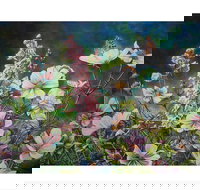 The Homestead Gallery - Foster Accommodation