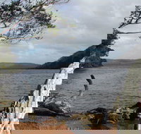 Walpole-Nornalup Inlet - Foster Accommodation