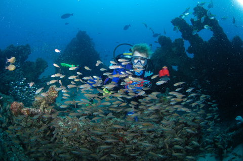 Aarhus Dive Site - Foster Accommodation 0