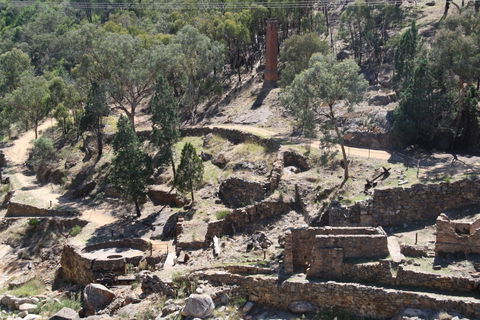 Adelong Falls Gold Mill Ruins - Foster Accommodation 0