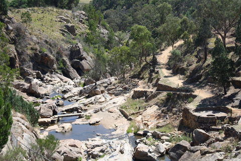Adelong Falls Gold Mill Ruins - Foster Accommodation 1
