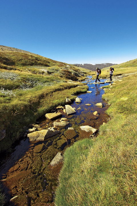 Australian Alps Walking Track - Foster Accommodation 0
