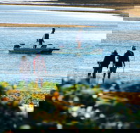 Ayr - Foster Accommodation