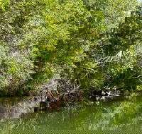 Berry Springs Nature Park - Foster Accommodation