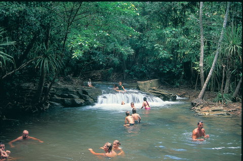 Berry Springs Nature Park - Foster Accommodation 1