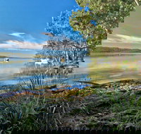 Black Oaks Picnic Area - Foster Accommodation