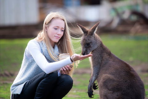 Bonorong Wildlife Sanctuary - Foster Accommodation 1
