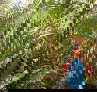 Canungra - Foster Accommodation