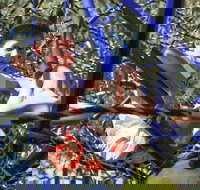 City Park - Foster Accommodation