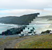 Connors Walking Track - Foster Accommodation