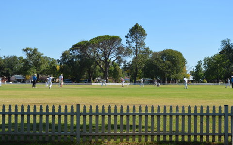 Cootamundra Cricketing Exploration - Foster Accommodation 0