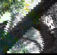 Daisy Hill - Foster Accommodation