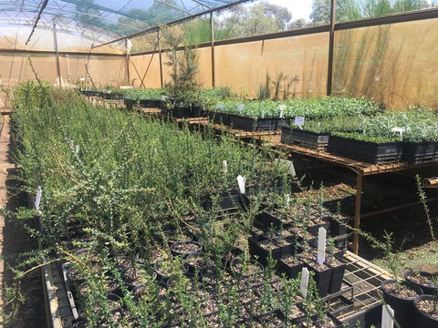 Euroa Arboretum - Foster Accommodation 1