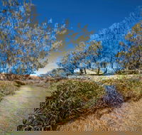 Freshwater Creek Track Byfield National Park - Foster Accommodation