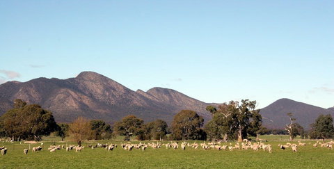 Grampians - Foster Accommodation 0