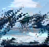 Hastings Point Beach - Foster Accommodation