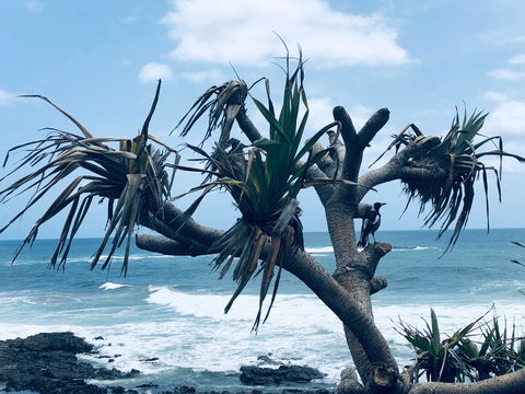 Hastings Point Beach - Foster Accommodation 0