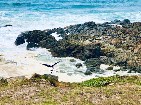 Hastings Point Beach - Foster Accommodation 2