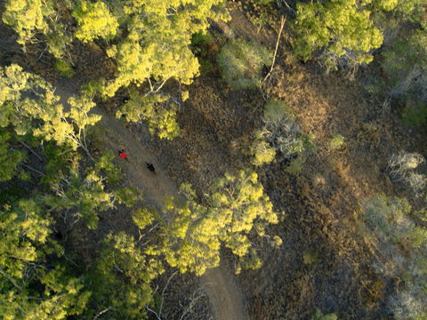 Hillview Drive Reserve - Foster Accommodation 2