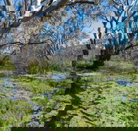 Macquarie Valley Trails - Foster Accommodation