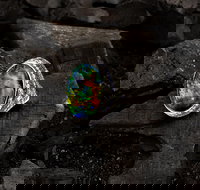 Matthew Ely - Foster Accommodation