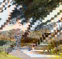 Meningie Walking and Cycling Trails - Foster Accommodation