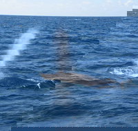 Minyama - Foster Accommodation