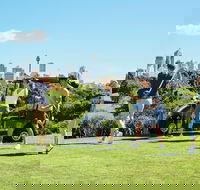 Moore Park Golf Course - Foster Accommodation