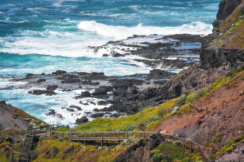 Mornington Peninsula National Park - Foster Accommodation 0