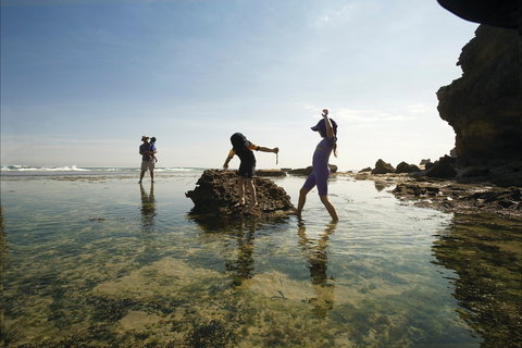 Mornington Peninsula National Park - Foster Accommodation 2