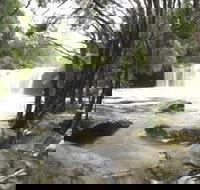 Nellies Glen Carrington Falls - Foster Accommodation